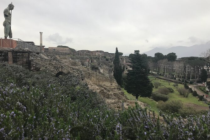 Pompeii Wine Tasting Tour from Positano - Positano to Pompeii without the stress: why this format works
