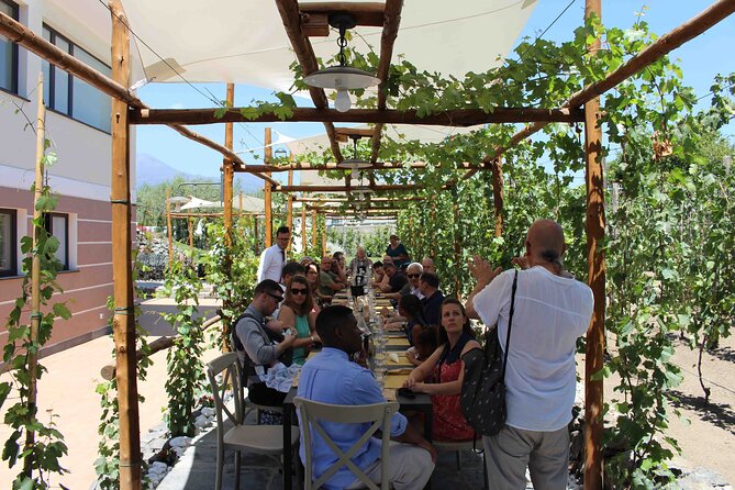 Pompeii Wine Tasting Tour from Positano - Bosco de Medici Winery: the Vesuvius backdrop and the lunch plan