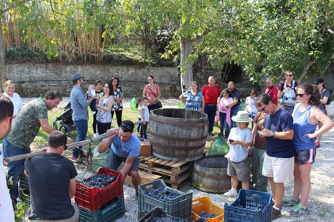 Pompeii Wine Tasting Tour from Positano - What you’ll notice at the table: pacing, portions, and pressure (or lack of it)