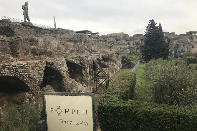 Pompeii Wine Tasting Tour from Positano - Entering Pompeii with a guide: what you’re actually getting