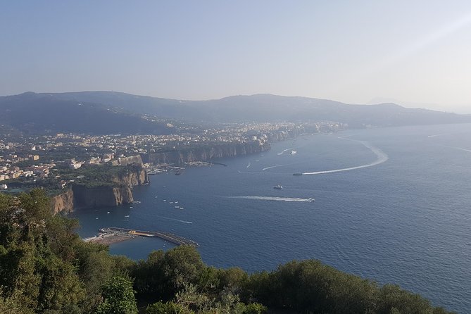 Private day tour to Pompei ,winery, Sorrento from Napoli/Salerno/Amalfi/Positano - The Vesuvius winery stop: six wines, a real lunch, and food that’s meant for the region