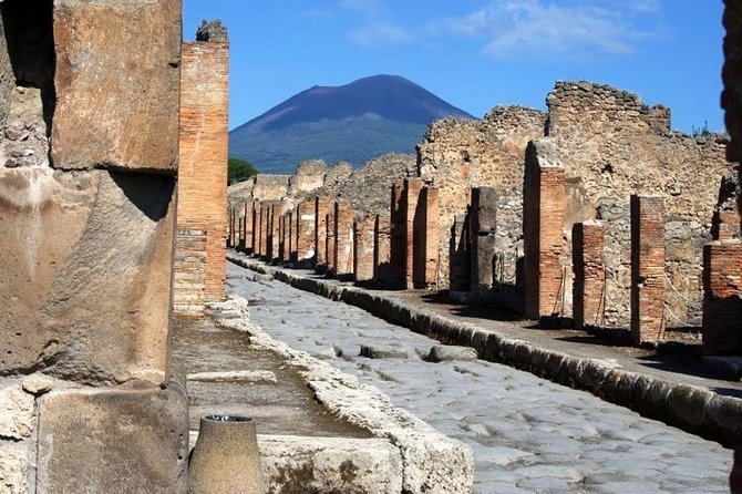 Private day tour to Pompei ,winery, Sorrento from Napoli/Salerno/Amalfi/Positano - Pompeii morning: what you’ll see and why the inside guide option matters