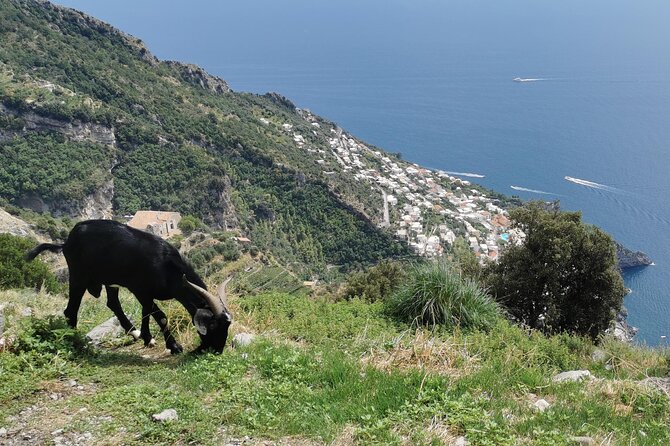 Private Guided Tour to the Path of the Gods - Half day - Meeting Point in Bomerano: One Place to Focus On