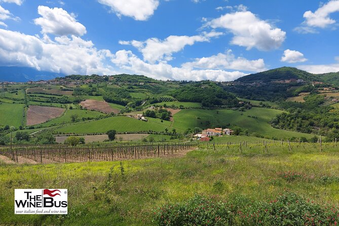 Private Irpinia Wine Tour from POSITANO, AMALFI or RAVELLO - Key highlights to know before you go