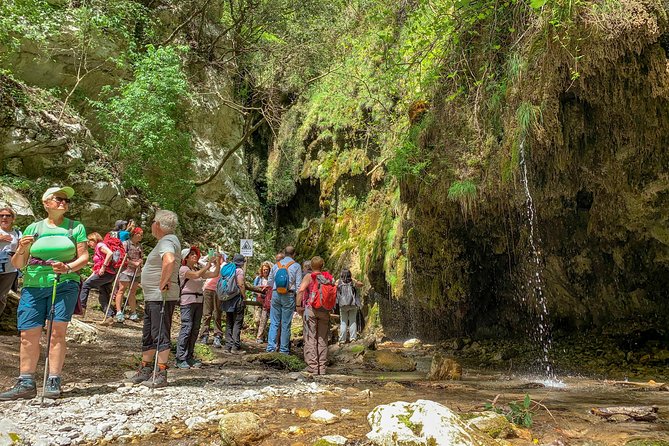 Private Tour: Amalfi Valle delle Ferriere Nature Reserve Walking Tour - The return to Amalfi: lemon groves, views, and the stairs reality check