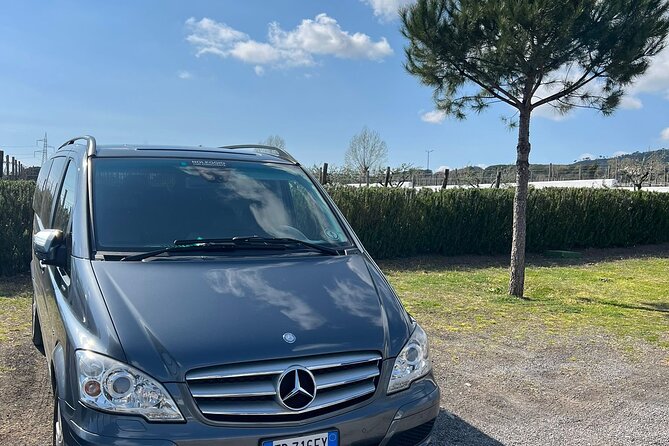Private Transfer from Positano to Naples Airport - Price and value: what $278.09 per group buys you