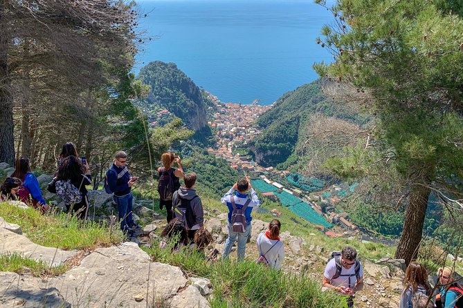 Private walking tour of Amalfi & Atrani hamlets discovering amazing landscape - Price and Logistics: Is $152.60 Per Person Good Value?