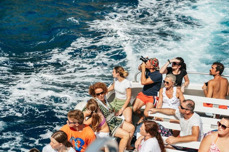 Sorrento: Coast and Capri Boat Trip with Limoncello Tasting - Logistics that can make or break your day