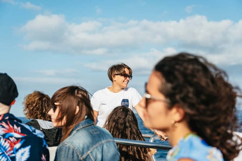 Sorrento: Coast and Capri Boat Trip with Limoncello Tasting - Price and value: why $81 can make sense here