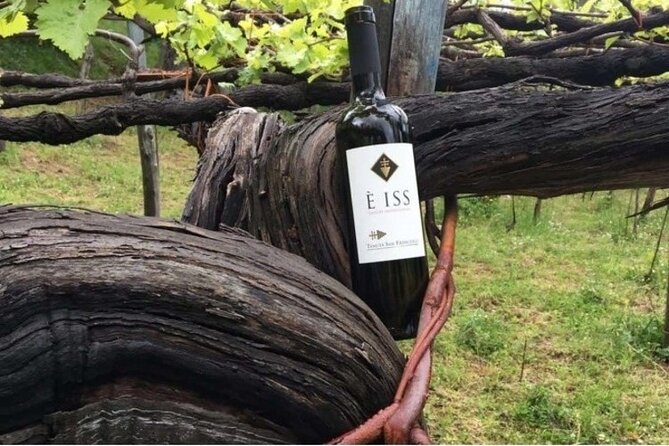 Tenuta San Francesco Wine Tasting - Key highlights you will care about