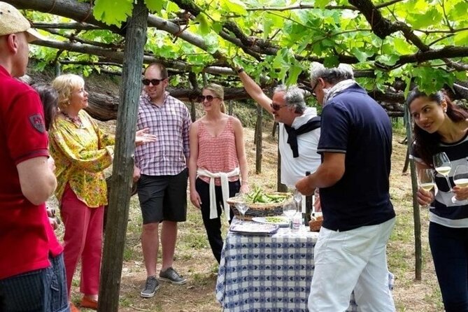 Tenuta San Francesco Wine Tasting - Hosts and pace: private group, English service, and a warm tone