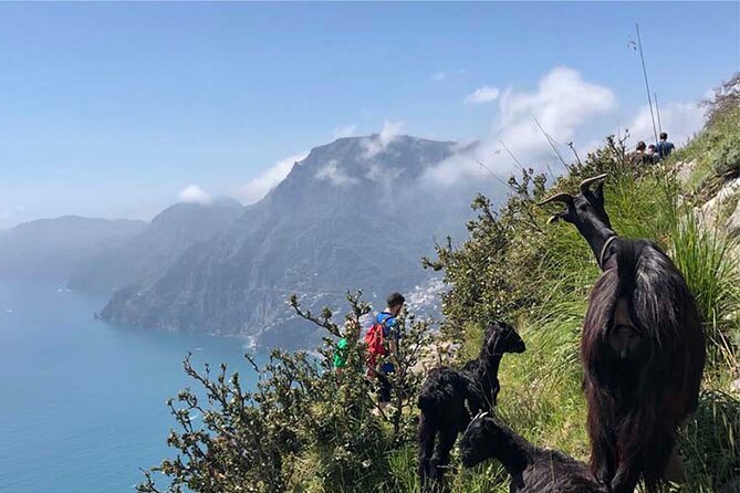 The Path of The Gods Private Guided Hike with Transfer - Getting From Your Hotel to Bomerano (Without Paying for Stress)