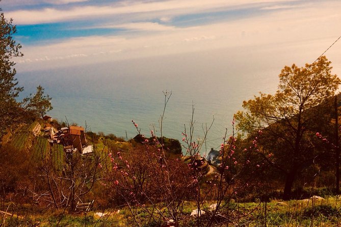 Trail of the gods with local guide Saveria Fiore "Ladybug" - How You’ll Experience the Nature Talk (Without Making It a Lecture)