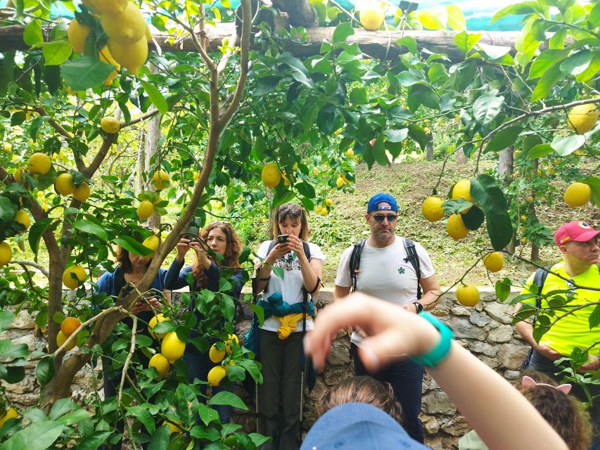 Trekking Lemon Tour - From Vietri to Raito: the coast-walk setup that keeps things simple