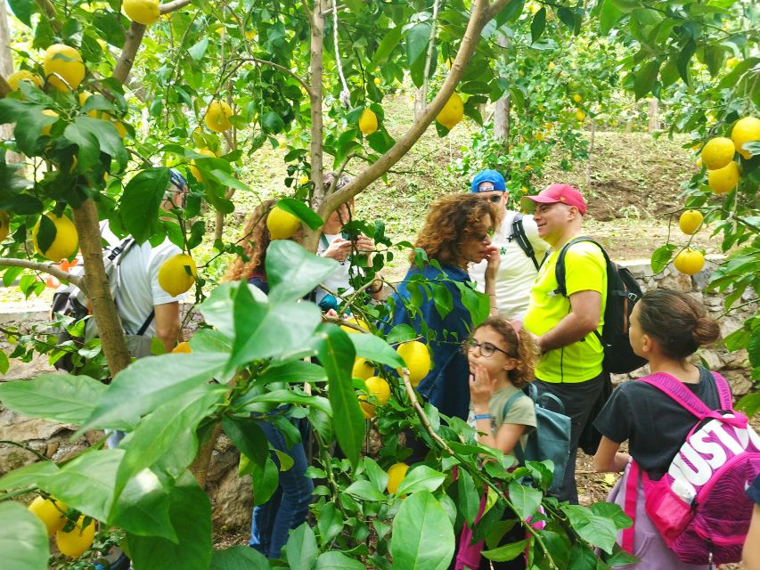 Trekking Lemon Tour - What to bring (and what to wear) for comfort on Amalfi hills