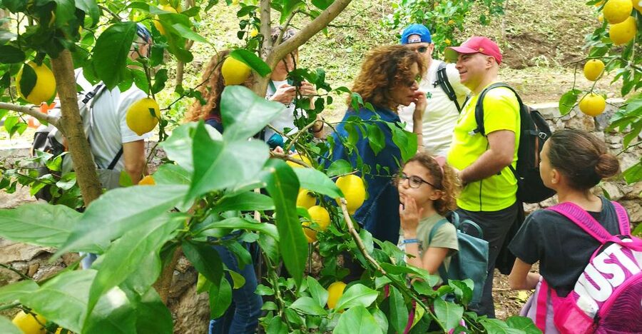 Trekking Lemon Tour - Meeting at Cerasella: finding the start and getting your bearings fast