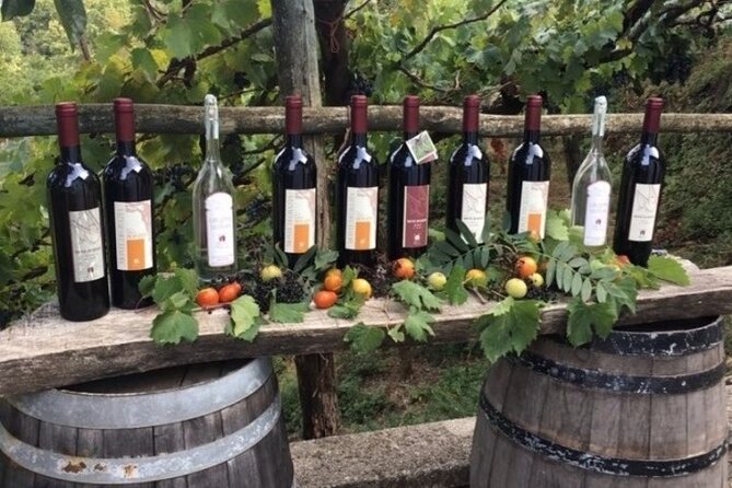 Wine Tour (lunch included) - Price and value: what $358.86 buys you in Tramonti